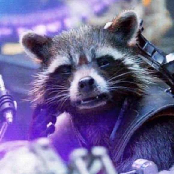 Meet your Posher, Kake - Picture 1 of 1